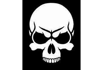 Scull.E.R.
