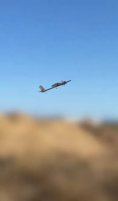 БПЛА “P1SUN” від BlueBird Одеса - фото 5