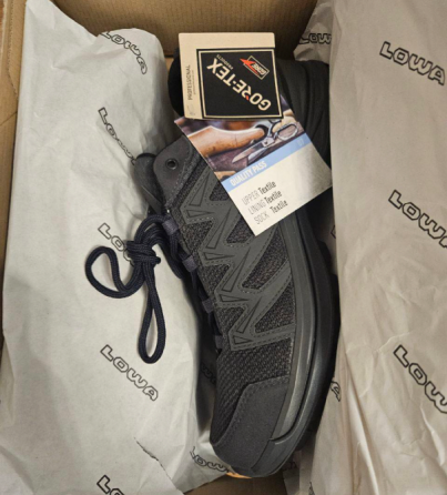 Тактичні кросівки Lowa Innox Pro GTX Lo TF. Розмір 42 Київ