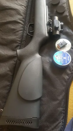 Пневматичні гвинтівки Gamo (Іспанія) коліматорний приціл + сумка Харків