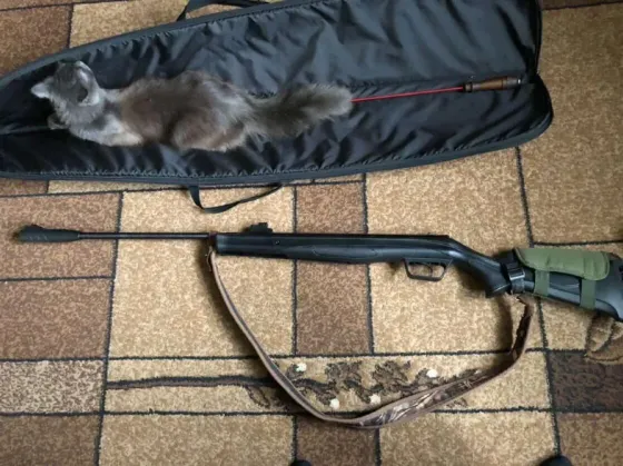 Продаю плевматичну гвинтівку Beeman Mantis Бердичів