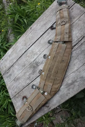 Тактичний ремінь від рюкзака PIG-TAC LRPB-3D 50 л Харків