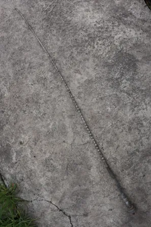 Довга гнучка штрирьова антена Харків