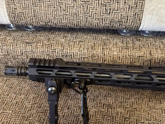 Карабин нарезной Diamondback DB15 BLACK кал.22 Днепр
